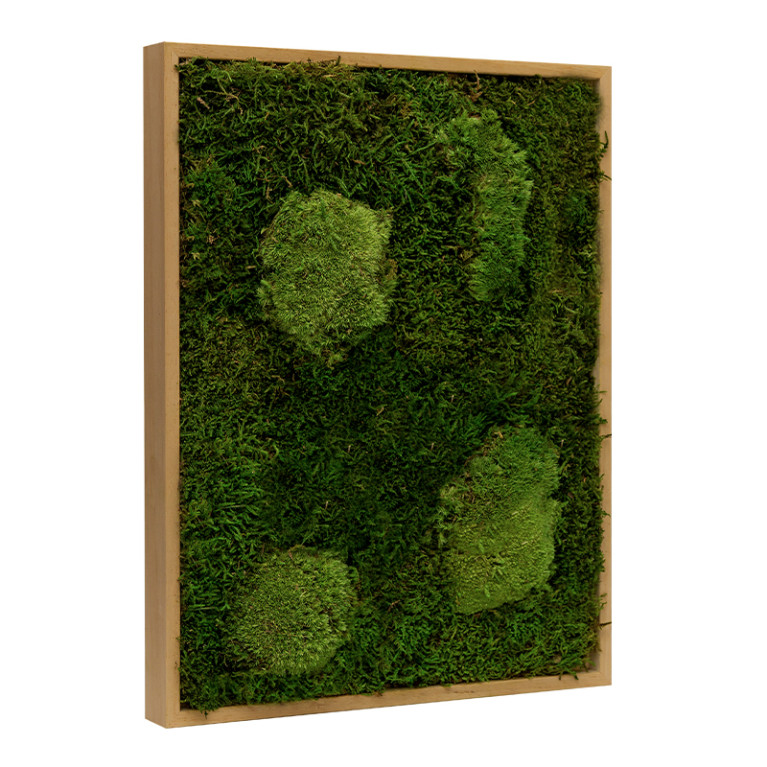 Mosschilderij Lappenmos-Bolmos 60x80 cm Eikenhout - Viborg