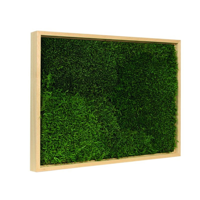 Mos Schilderij Lappenmos Blank Hout