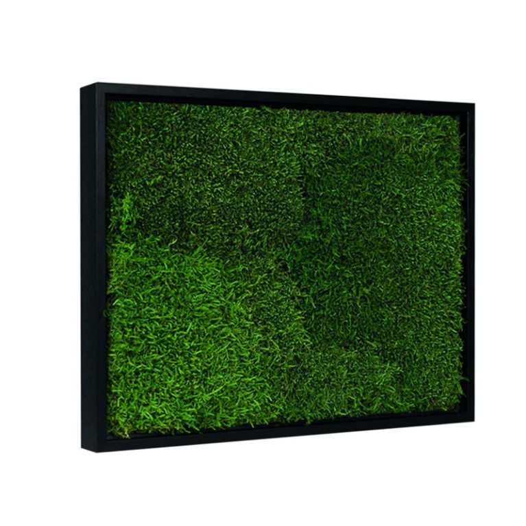 Mos Schilderij Lappenmos 80x120 cm Zwart