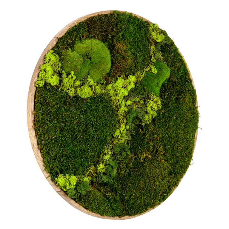 Mosschilderij Rond 100 cm Ongelakt Eiken - Svendborg Lentegroen - Zijaanzicht
