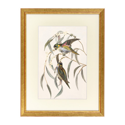 Fotolijst Tropez Goud 30x40 cm - Art Print en Passe Partout