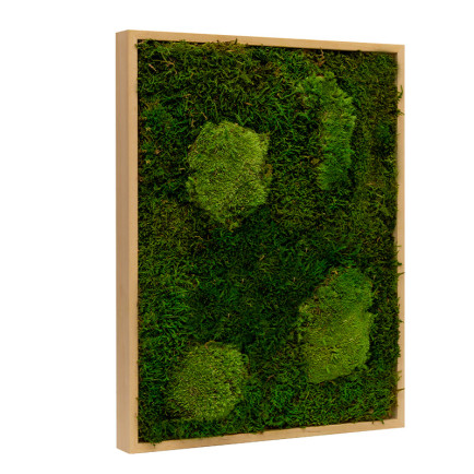 Mos Schilderij Lappenmos-Bolmos Blank Hout Viborg - Zijaanzicht